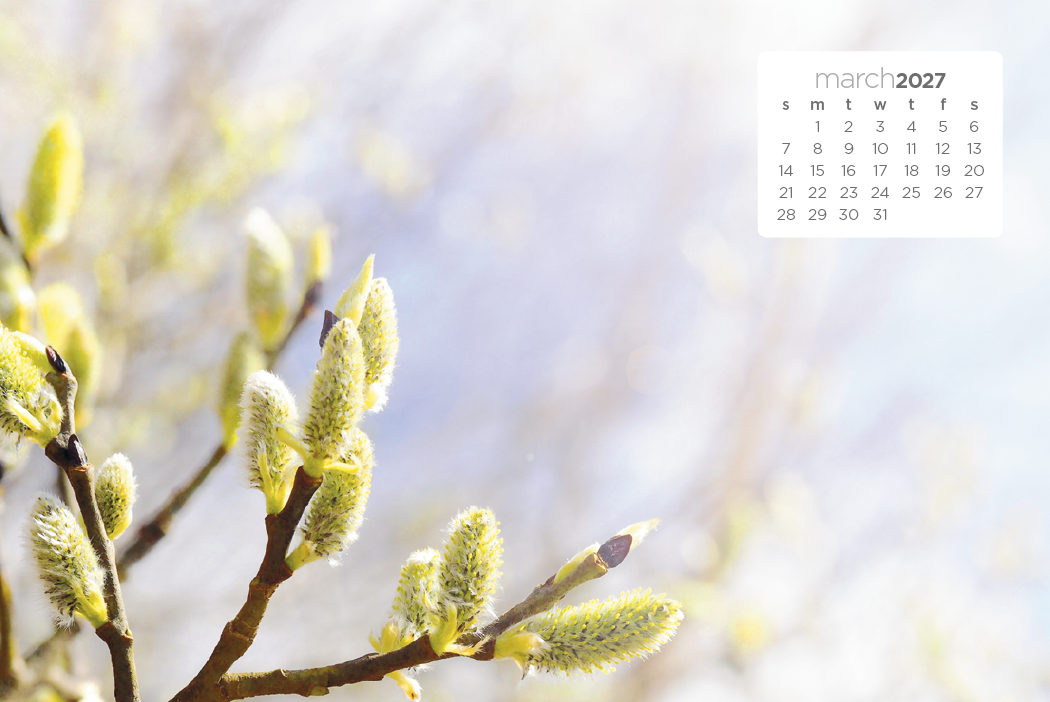 Triumph® Calendars Simplicity Large Desk Calendar