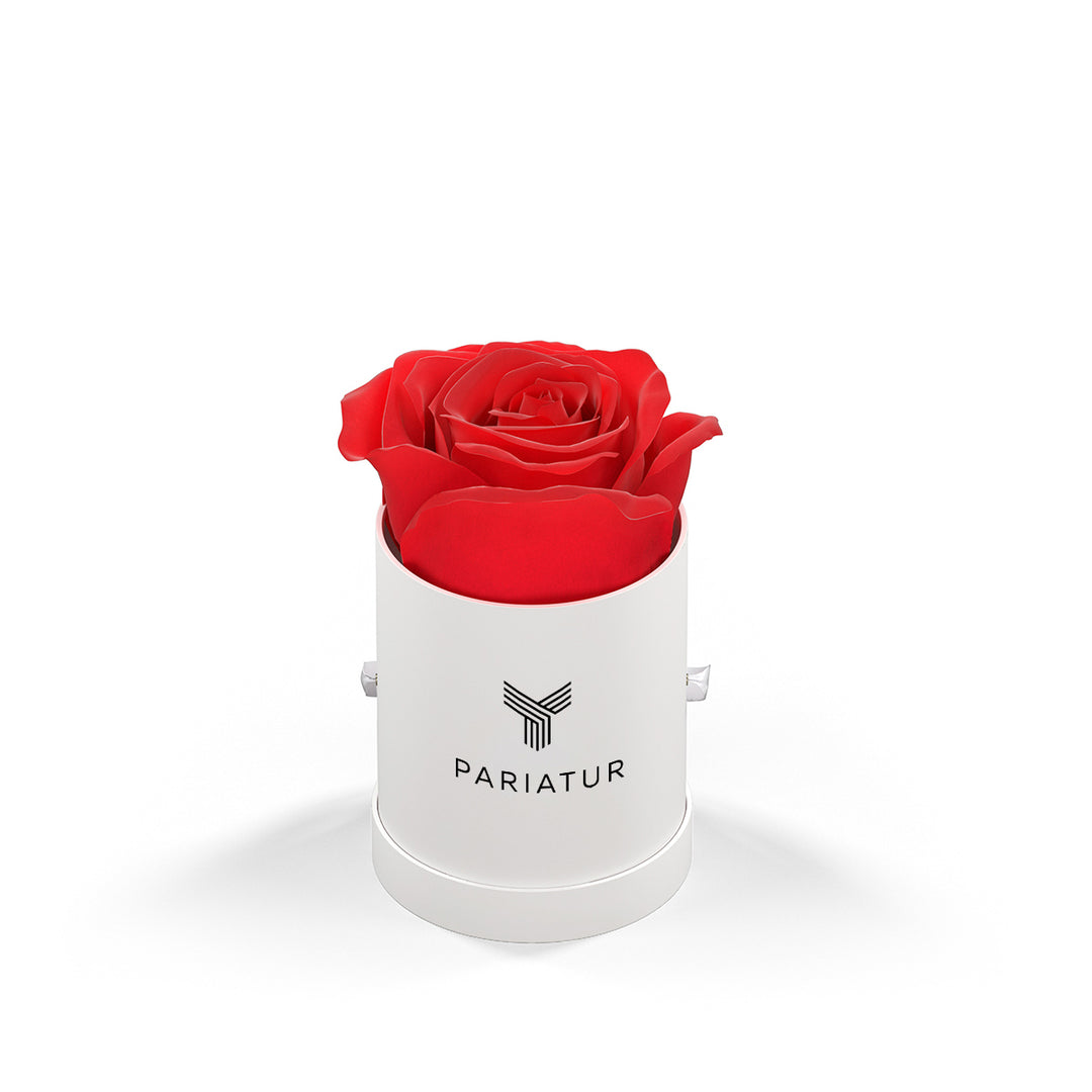 Classique by VeF Le Mini™ Round