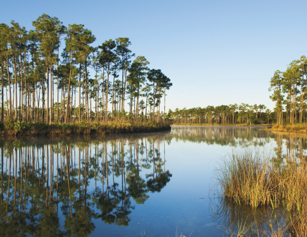Triumph® Calendars American Splendor Calendar
