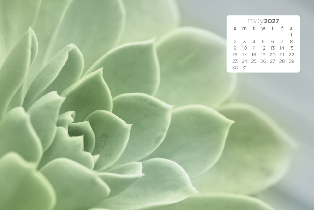 Triumph® Calendars Simplicity Large Desk Calendar