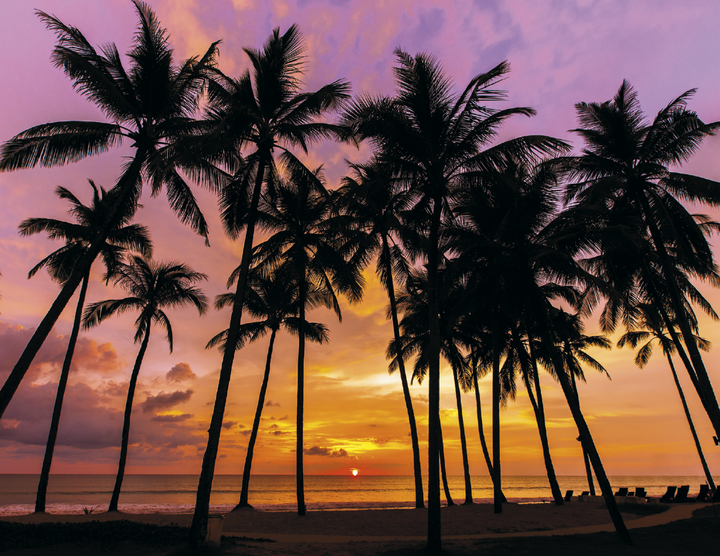 HotLine® Products Dawn to Dusk Appointment Calendar - Stapled