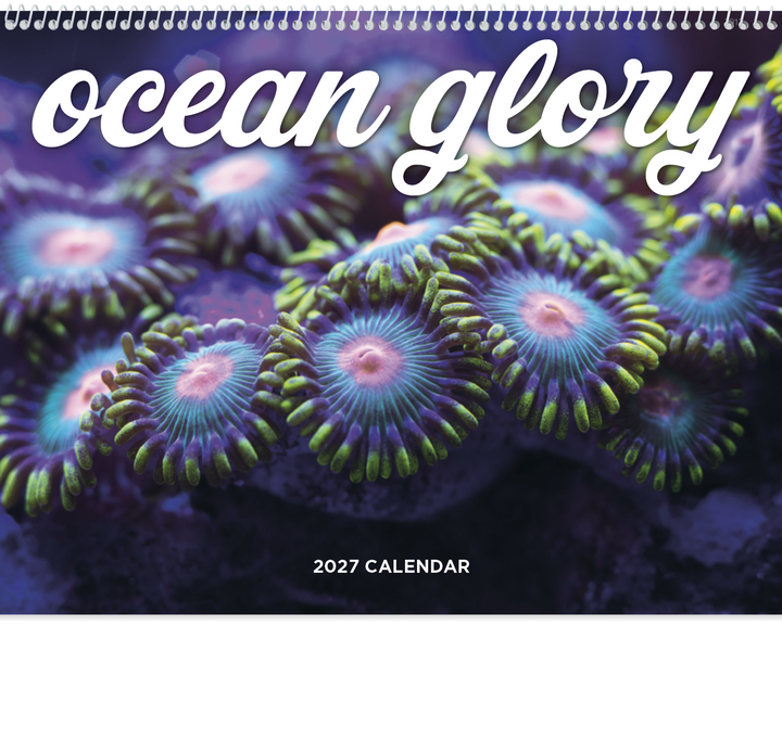 Good Value™ Ocean Glory - Spiral Calendar