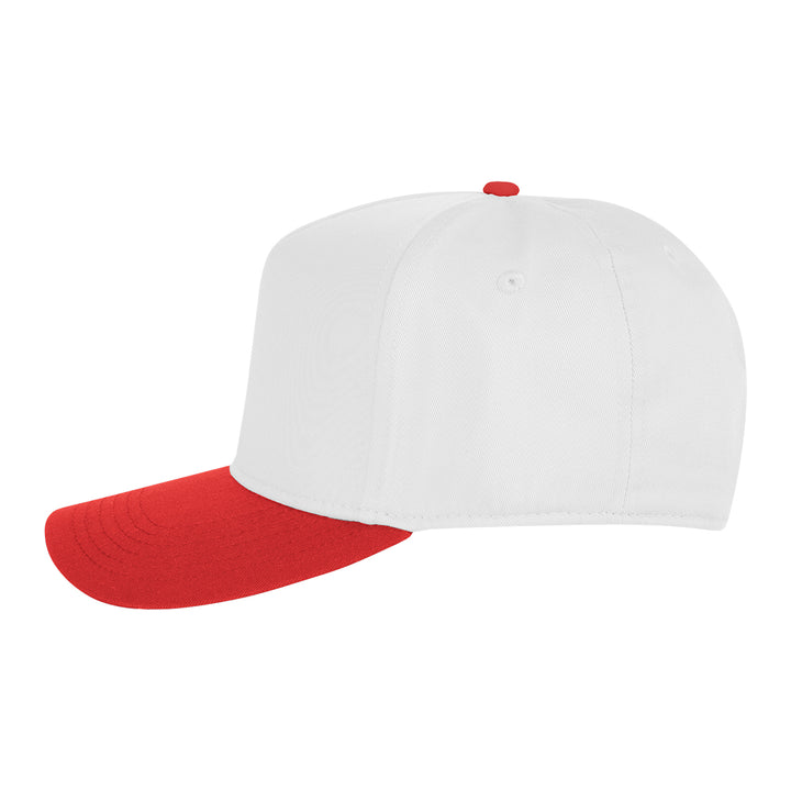 Two-Tone Strike Zone Cap