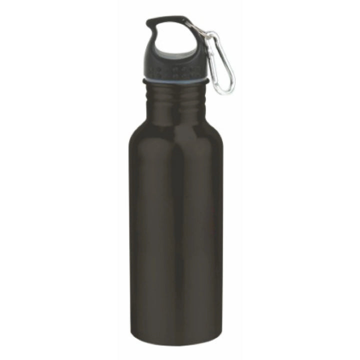 22 Oz. Stainless steel sports water bottle, carabiner