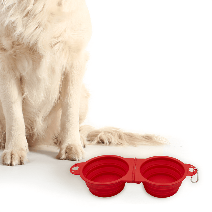 Top Tail Double Collapsible Pet Bowl