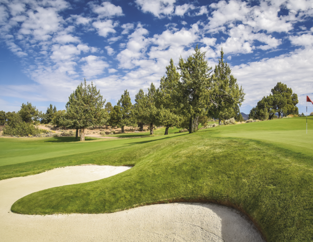 Good Value™ Fairways & Greens - Stapled Calendar