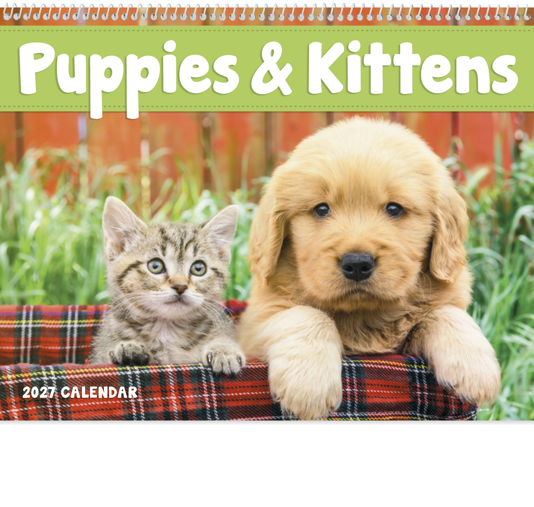 Good Value™ Puppies & Kittens - Spiral Calendar