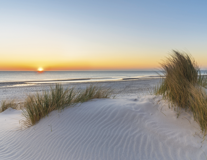 Triumph® Calendars Sunrise Sunset Calendar