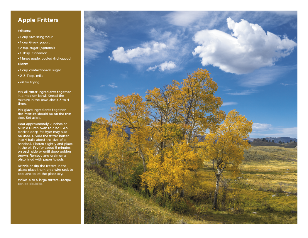 Triumph® Calendars America the Beautiful with Recipes Calendar