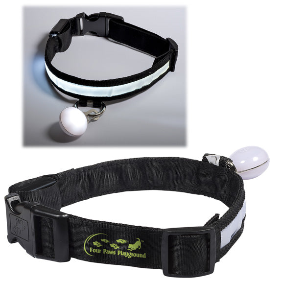 Light Up Pet Collar