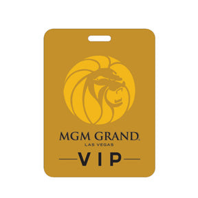 3 inch x 4 inch Plastic Identification Badge