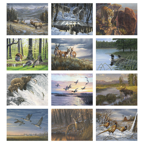 Wildlife Art Deluxe 16 Month Wall Calendar