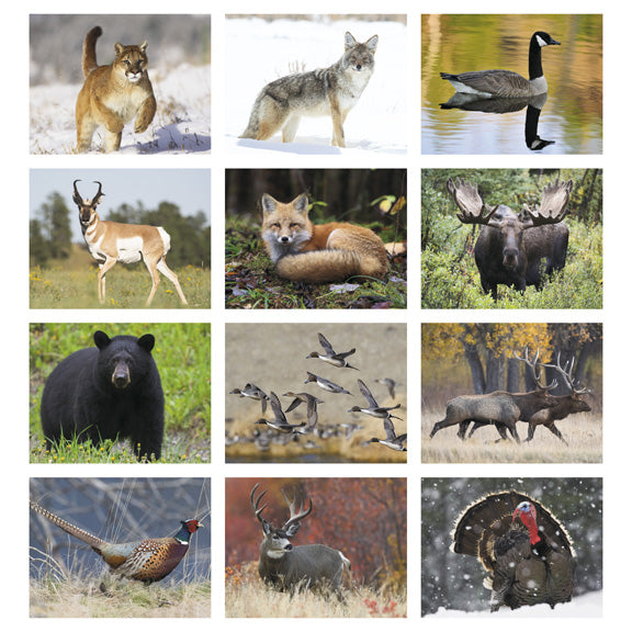 Wildlife Portraits Calendar