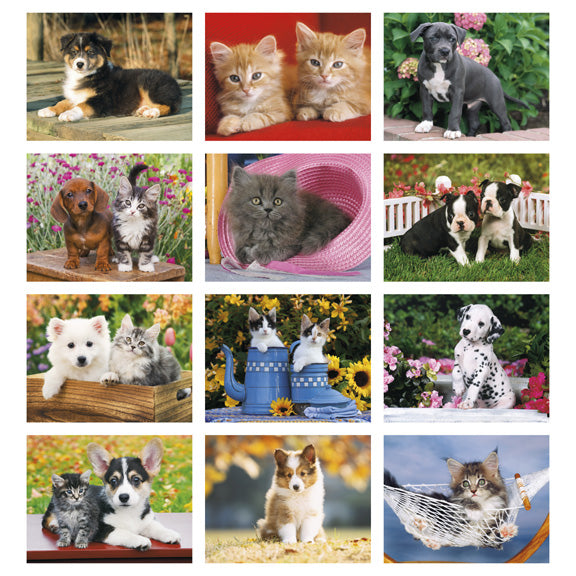 Puppies and Kittens Calendar - Spiral