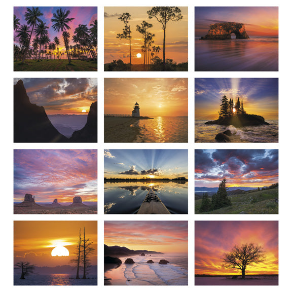 Dawn to Dusk Appointment Calendar