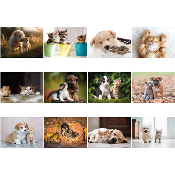 Puppies and Kittens Stapled Wall Calendar