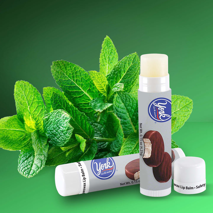 Tek Booklet With Natural Lip Balm