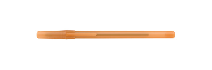 BIC® Round Stic® Ice Pen