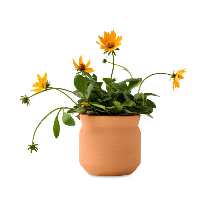 a4ebf31ba9e8e49e23cc55da68d1d23f9caf1925
