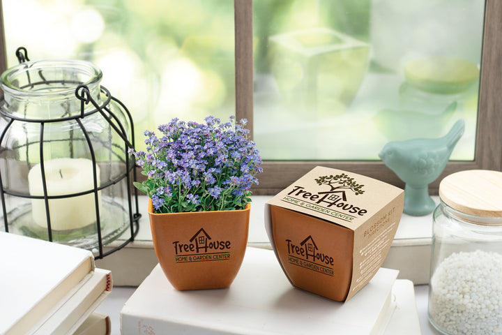 Bamboo Blossom Kit