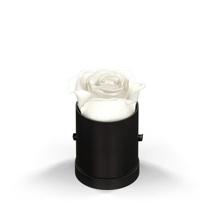 Classique by VeF Le Mini™ Round