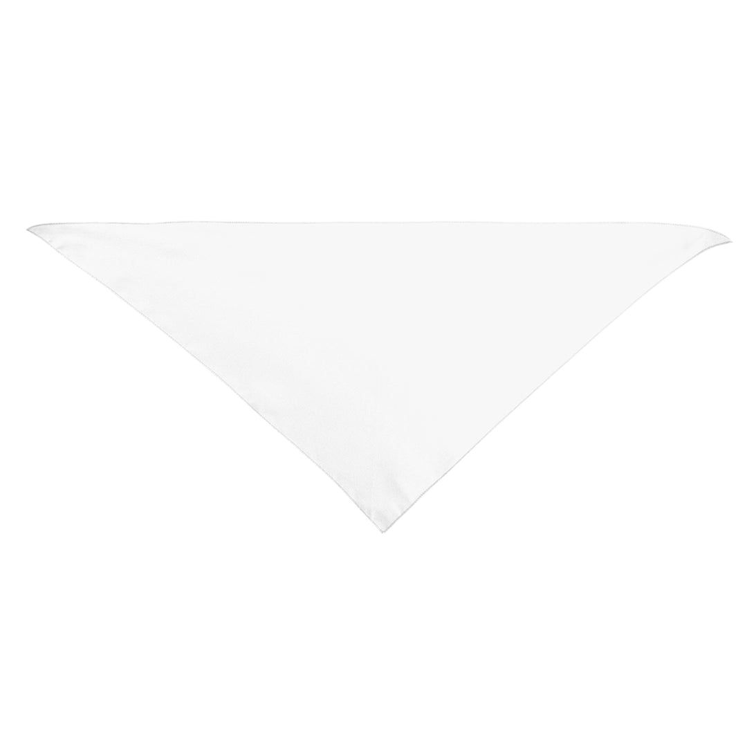 Large Triangle rPET Pet Bandana