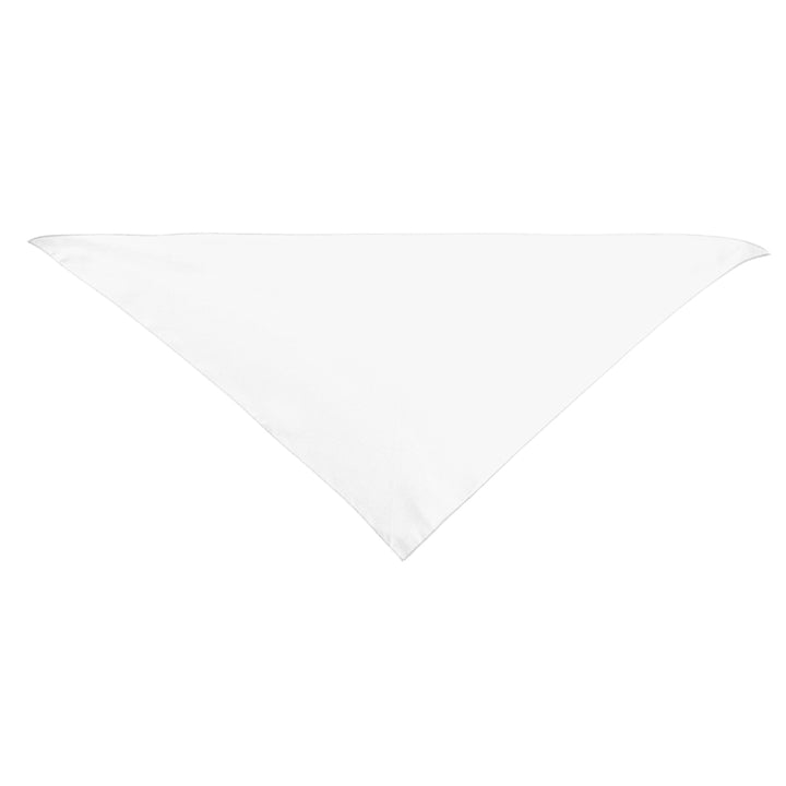 Large Triangle rPET Pet Bandana