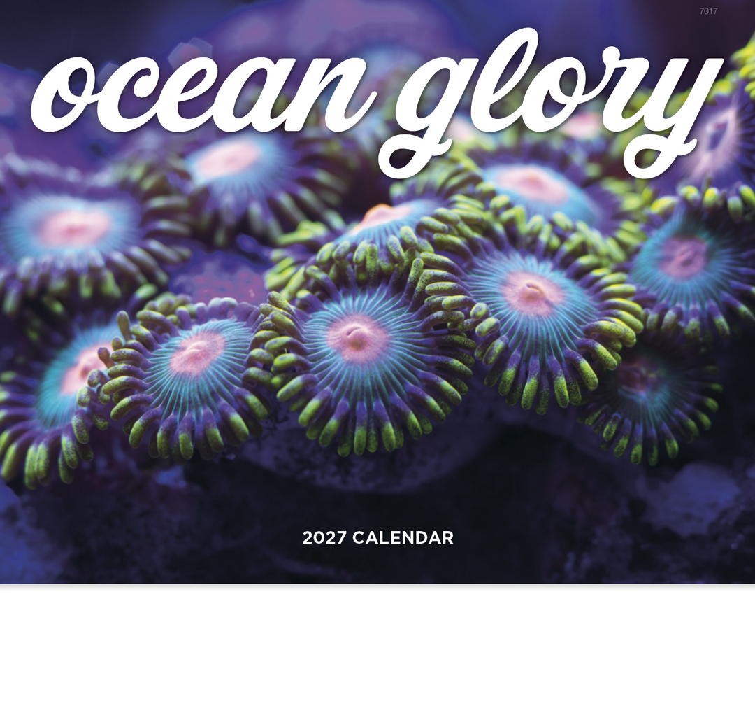 Good Value™ Ocean Glory - Stapled Calendar
