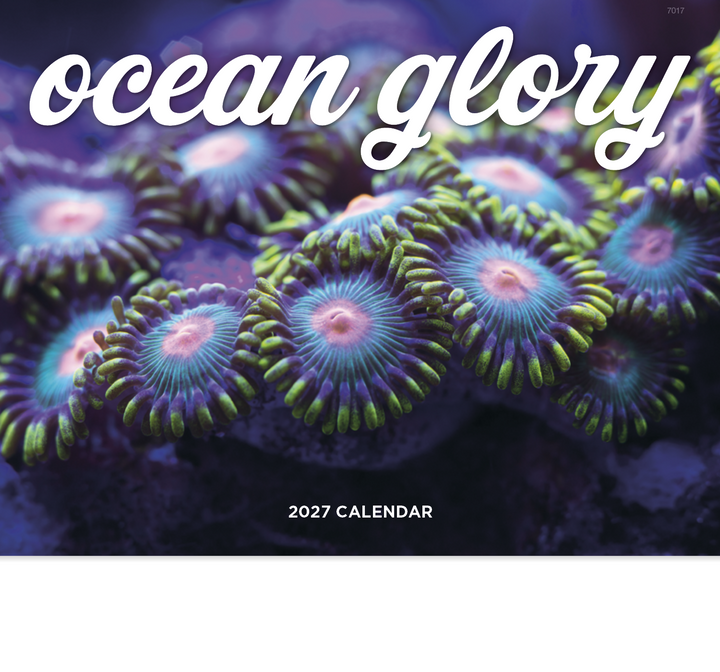 Good Value™ Ocean Glory - Stapled Calendar