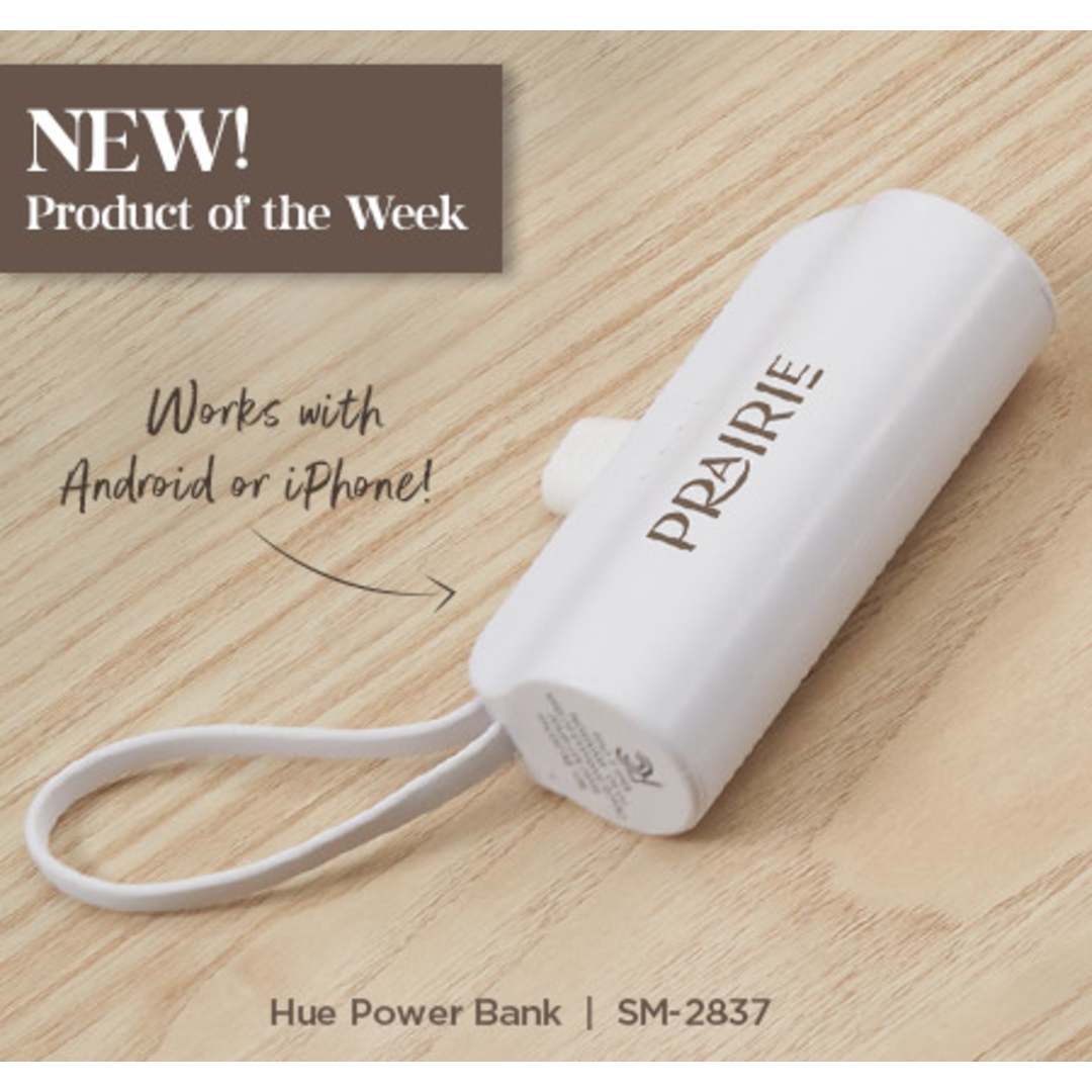 Hue 5000 mAh Power Bank with Multi Tips