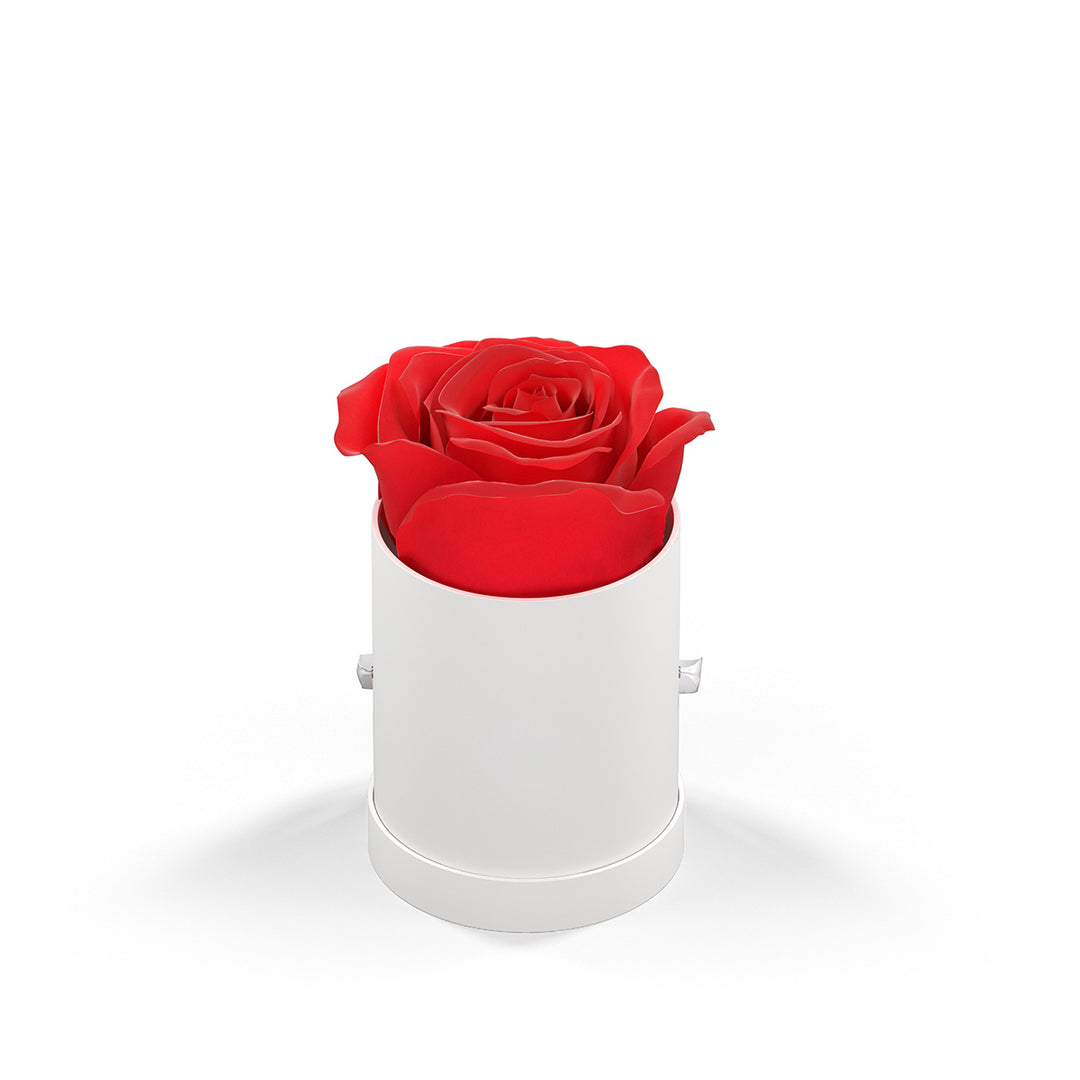Classique by VeF Le Mini™ Round