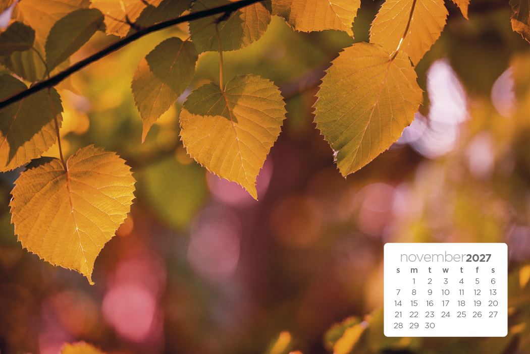 Triumph® Calendars Simplicity Large Desk Calendar