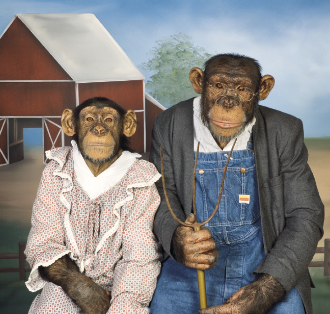 Triumph® Calendars Monkey Business Calendar