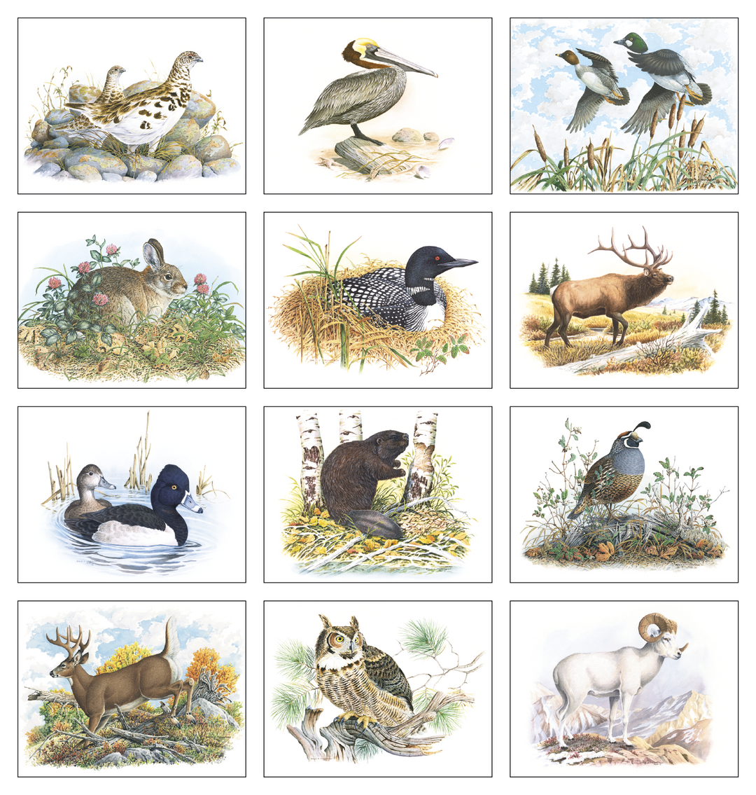 Good Value™ Wildlife Trek - Stapled Calendar