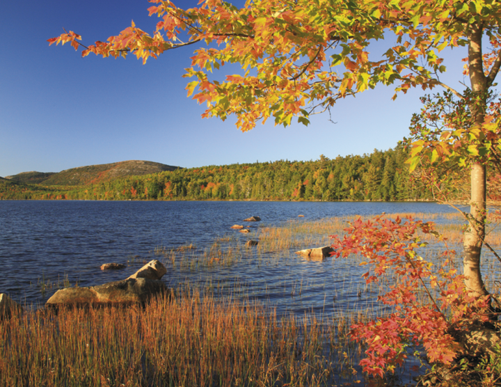 Triumph® Calendars National Parks Calendar