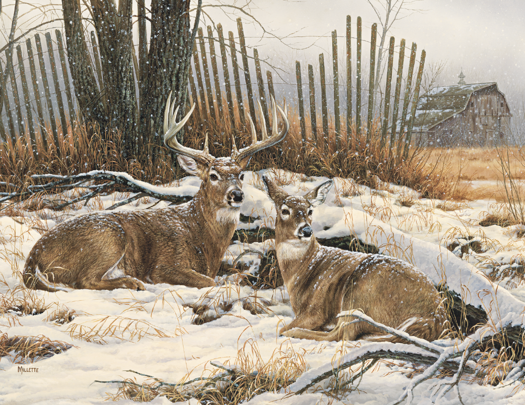 Triumph® Calendars Wildlife Art Calendar