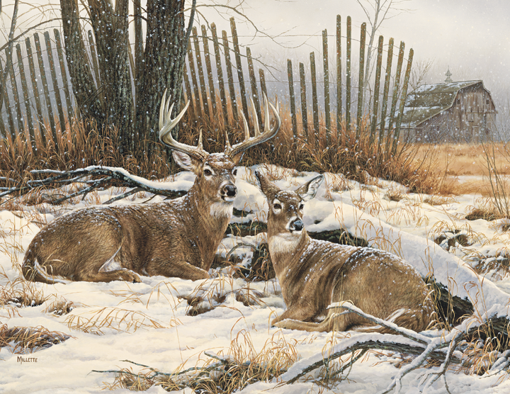 Triumph® Calendars Wildlife Art Calendar