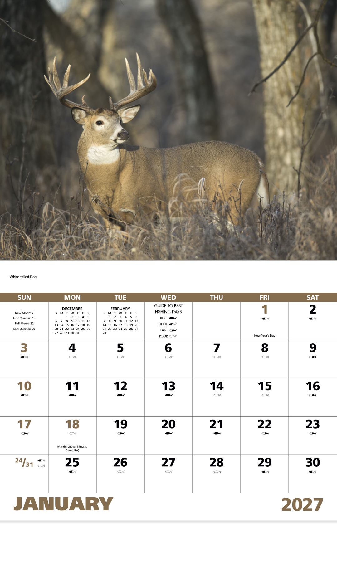 Good Value™ Wildlife Portraits - Stapled Calendar