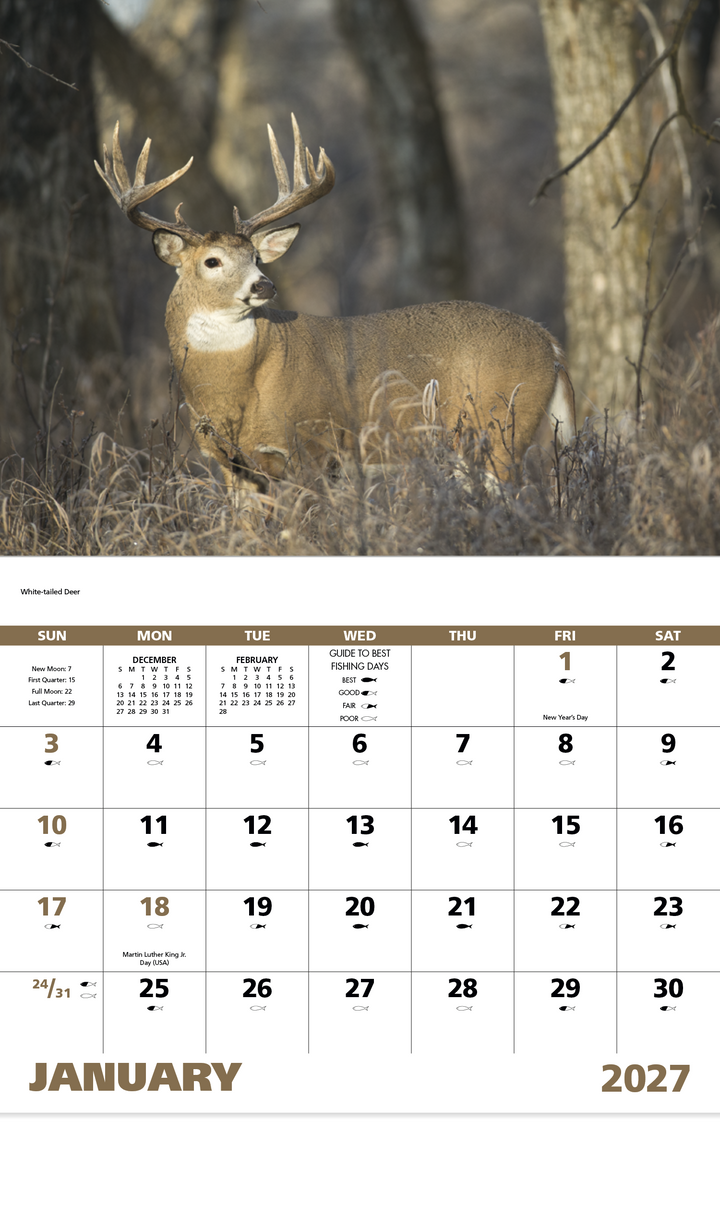 Good Value™ Wildlife Portraits - Stapled Calendar