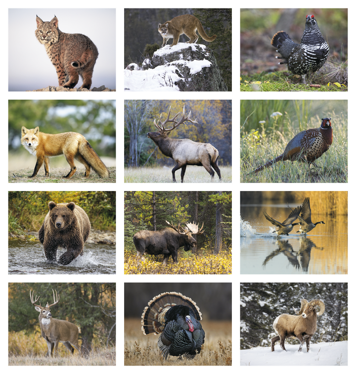 HotLine® Products Wildlife Appointment Calendar - Stapled