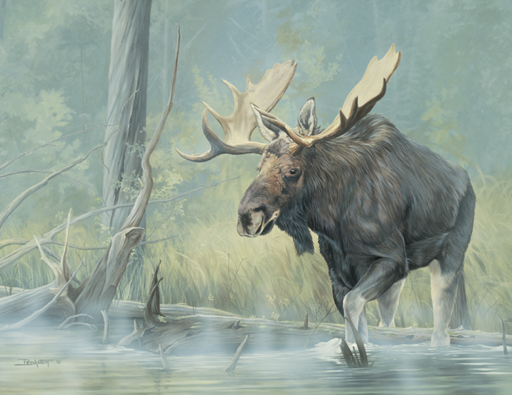 Triumph® Calendars Wildlife Art Calendar