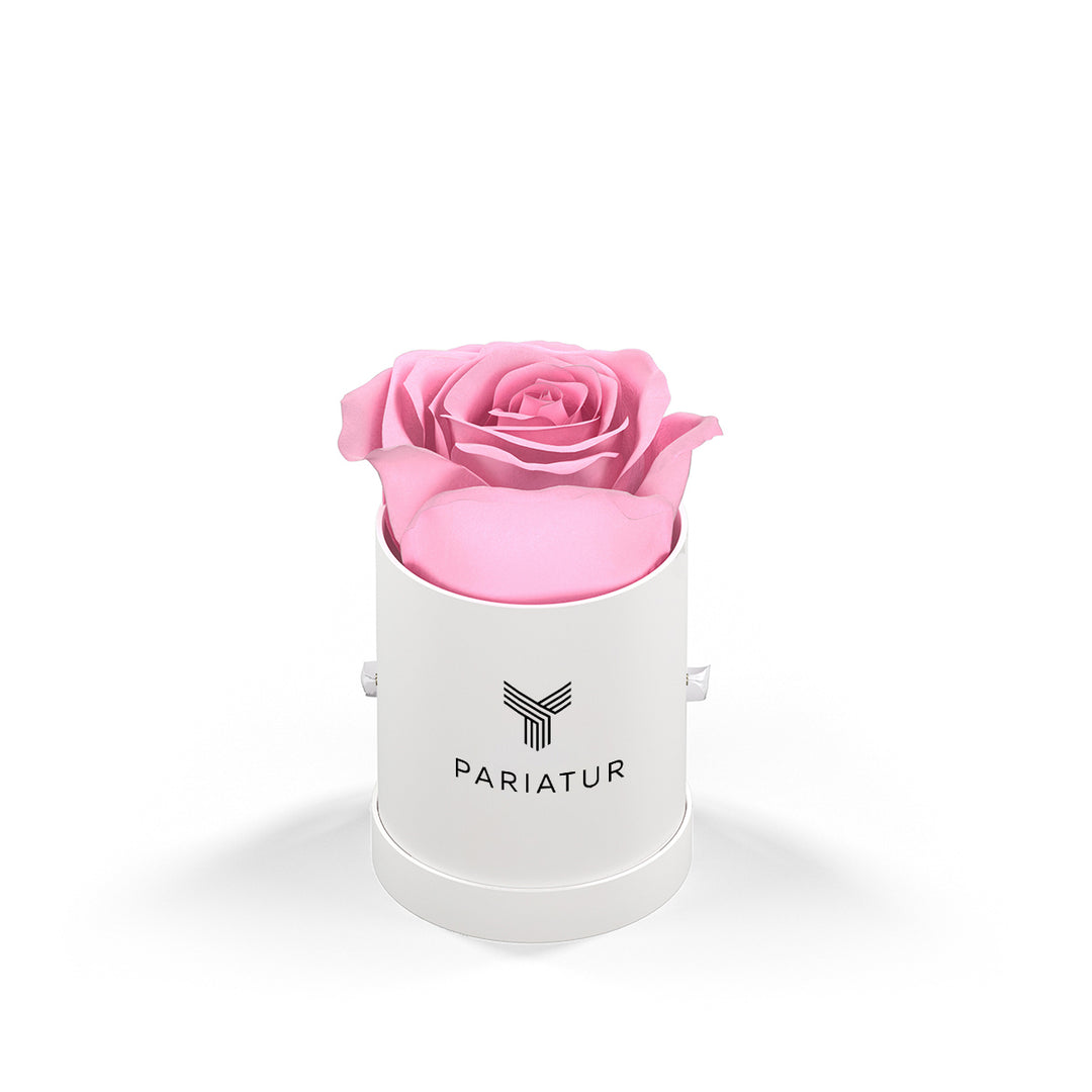Classique by VeF Le Mini™ Round