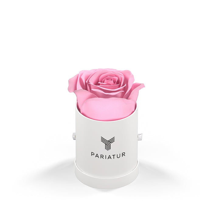 Classique by VeF Le Mini™ Round