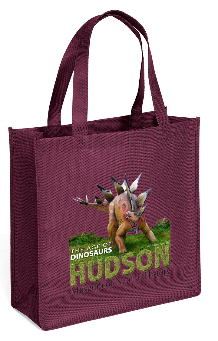 Abe - Celebration Tote Bag - ColorVista