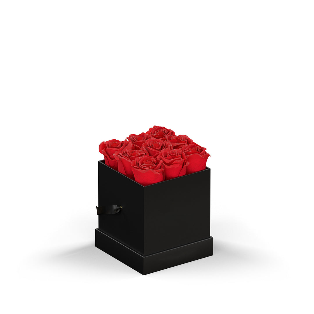 Classique Mini Square by VeF