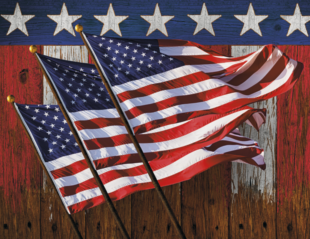 Triumph® Calendars I Love America Calendar
