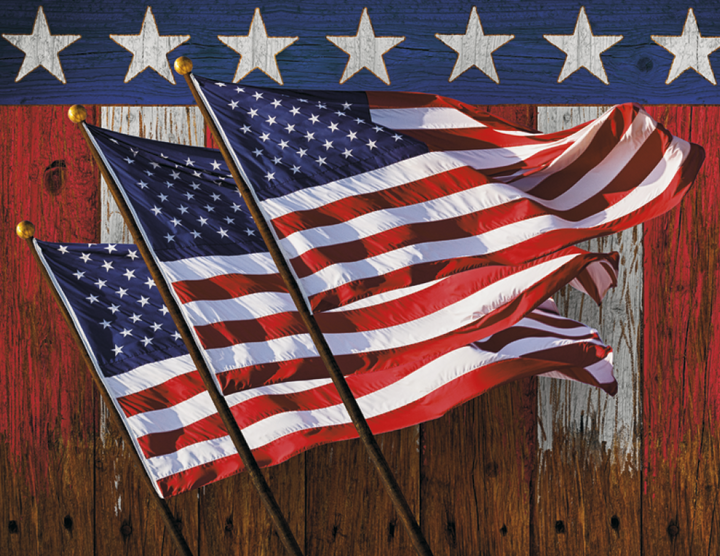 Triumph® Calendars I Love America Calendar