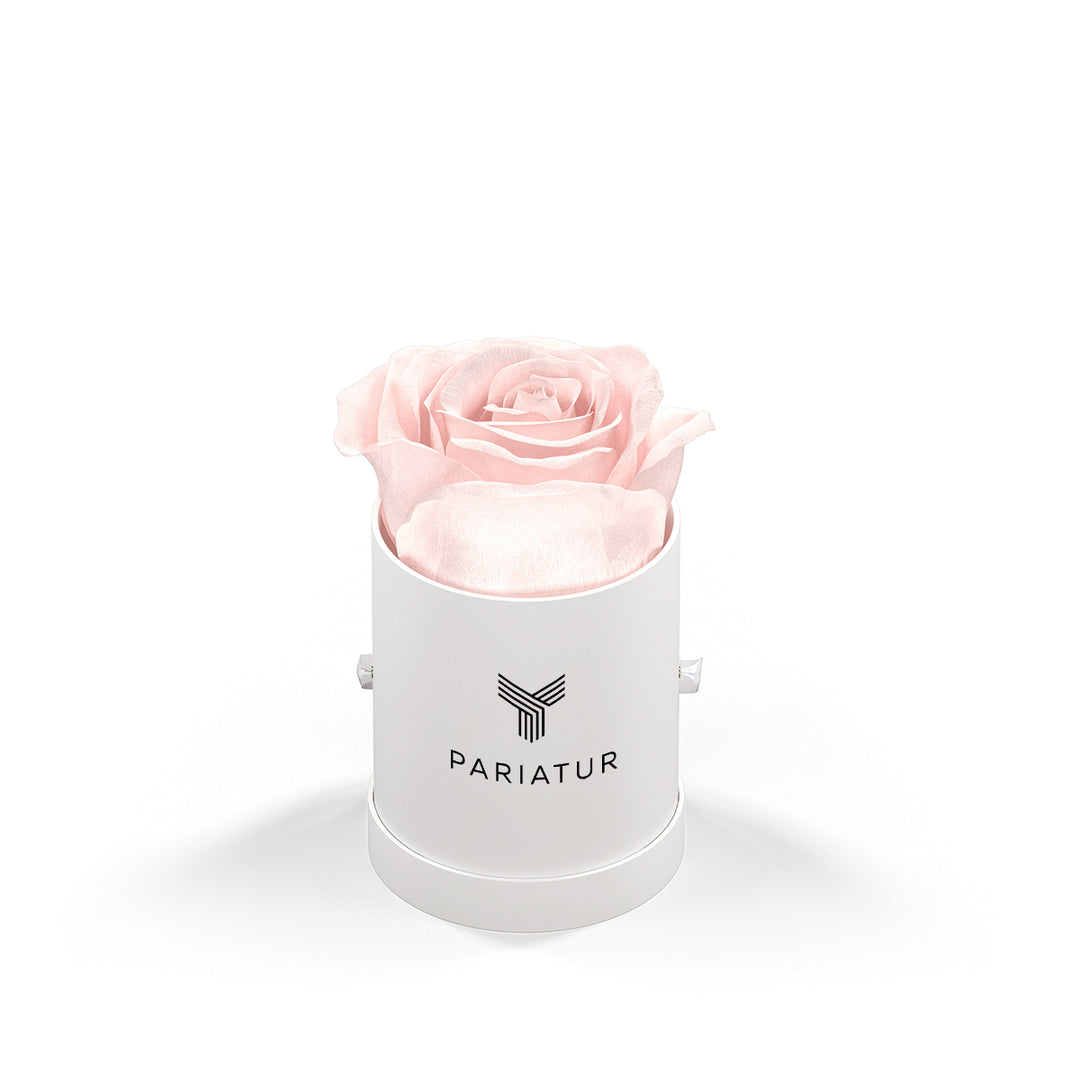 Classique by VeF Le Mini™ Round
