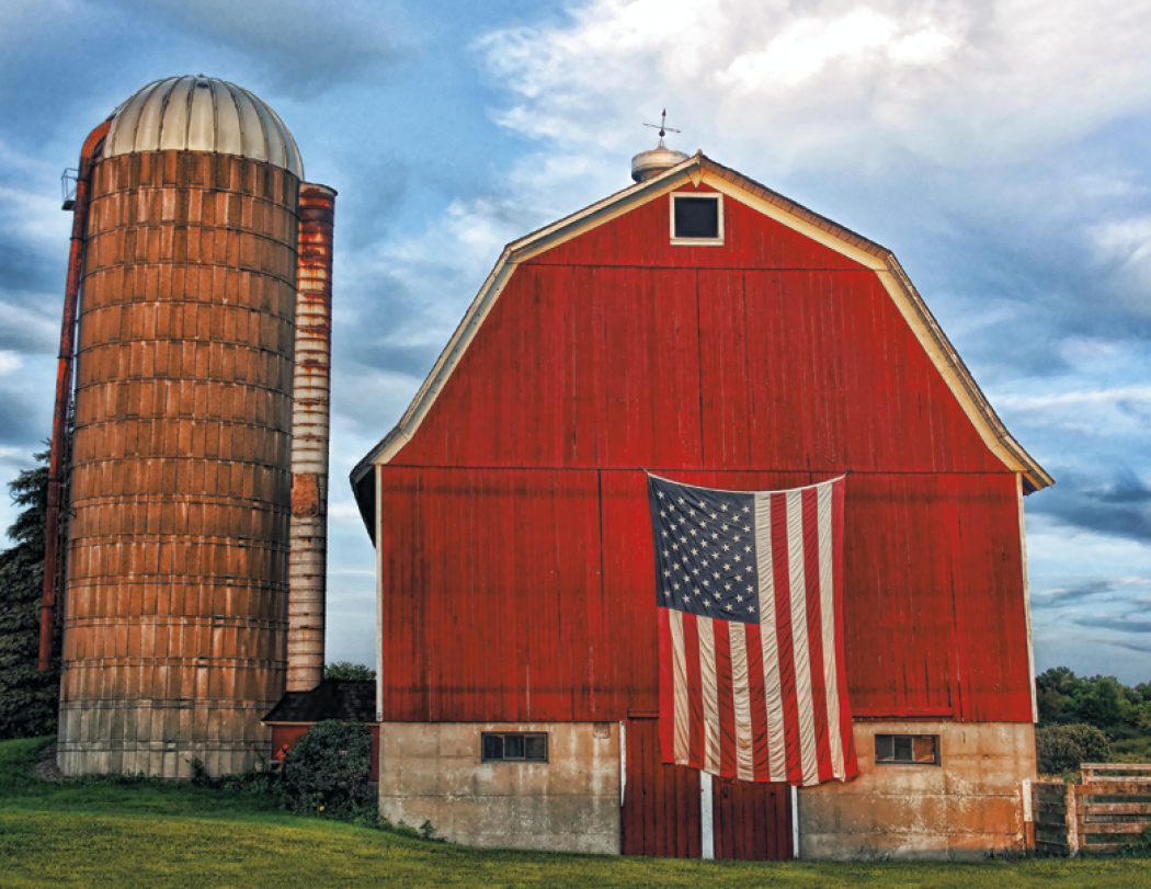 Triumph® Calendars I Love America Calendar