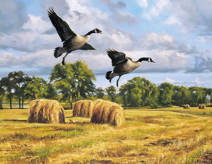 Triumph® Calendars Wildlife Art Calendar
